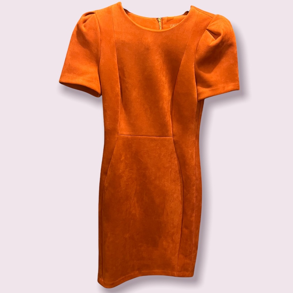 Size 2 Calvin Klein dress